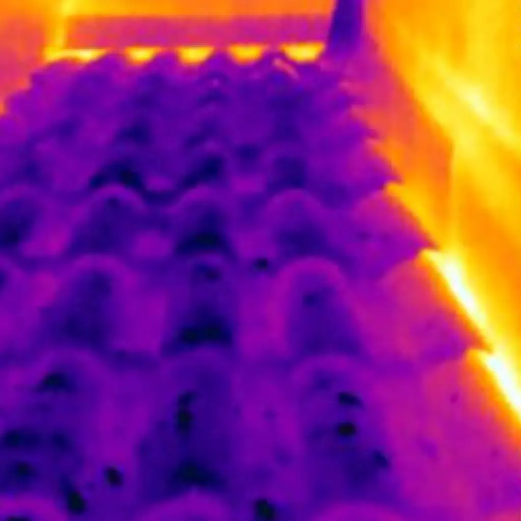 проследяване на течове и откриване на термомостове по покриви