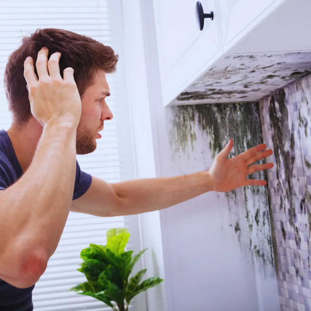 Анализ на мухъл